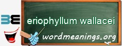 WordMeaning blackboard for eriophyllum wallacei